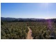 200 Hills Road, Meunna TAS 7325