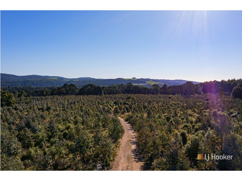 200 Hills Road, Meunna TAS 7325