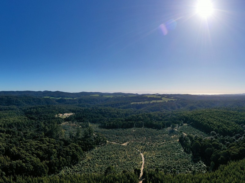 200 Hills Road, Meunna TAS 7325