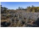 200 Hills Road, Meunna TAS 7325