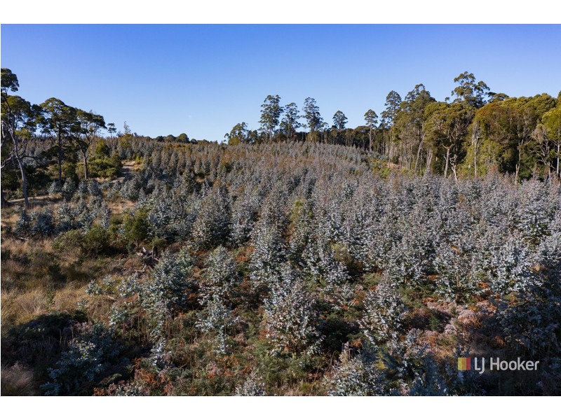 200 Hills Road, Meunna TAS 7325