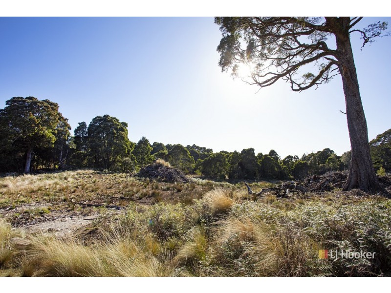 200 Hills Road, Meunna TAS 7325
