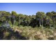 200 Hills Road, Meunna TAS 7325