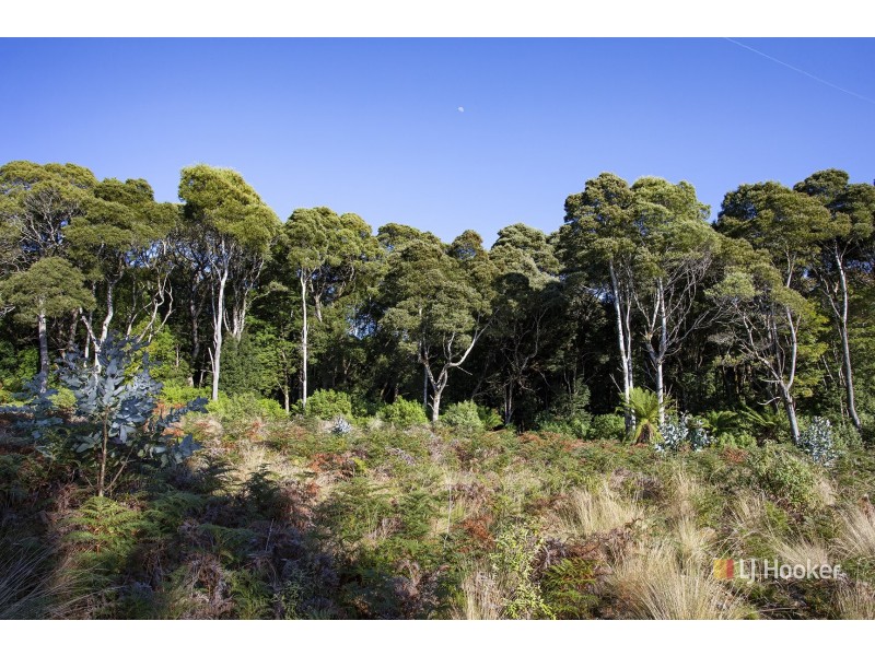 200 Hills Road, Meunna TAS 7325