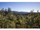 200 Hills Road, Meunna TAS 7325