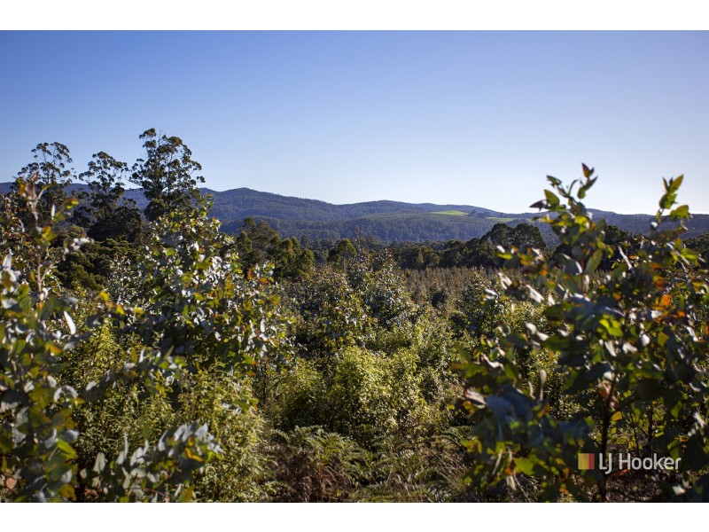 200 Hills Road, Meunna TAS 7325