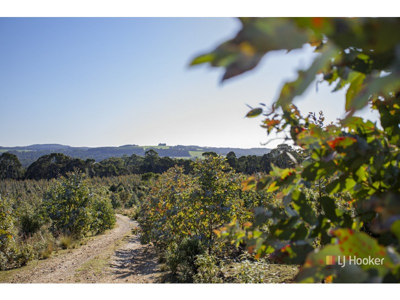 200 Hills Road, Meunna TAS 7325