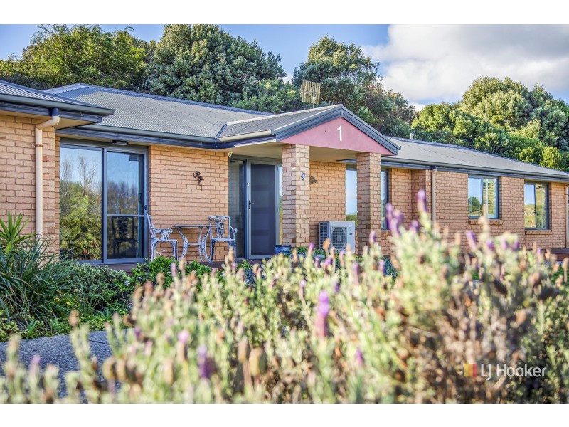1 Inglisdale Drive, Wynyard TAS 7325