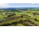 687 Nunns Road, Mount Hicks TAS 7325