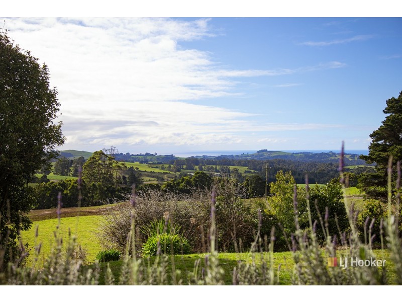 687 Nunns Road, Mount Hicks TAS 7325