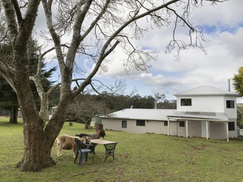 1490 Preolenna Road, Moorleah TAS 7325