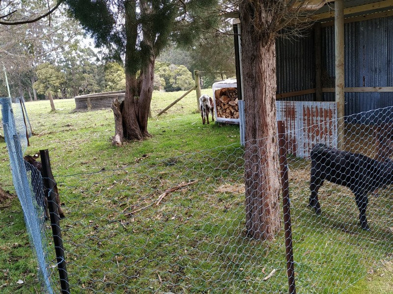 1490 Preolenna Road, Moorleah TAS 7325