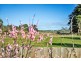 213 Old Bass Highway, Wynyard TAS 7325