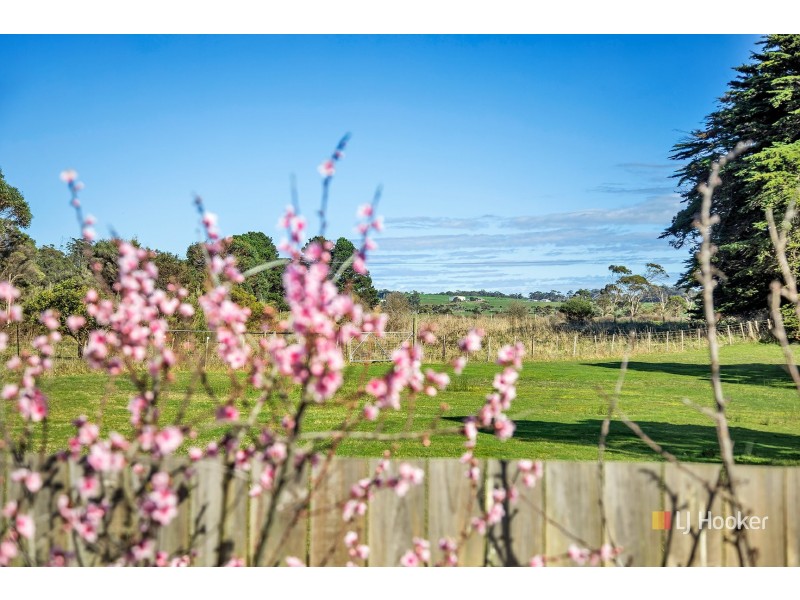 213 Old Bass Highway, Wynyard TAS 7325
