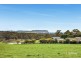464 Mount Hicks Road, Mount Hicks TAS 7325