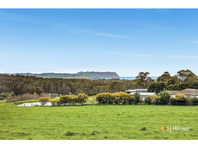 464 Mount Hicks Road, Mount Hicks TAS 7325