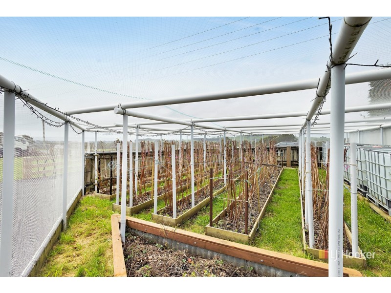 464 Mount Hicks Road, Mount Hicks TAS 7325