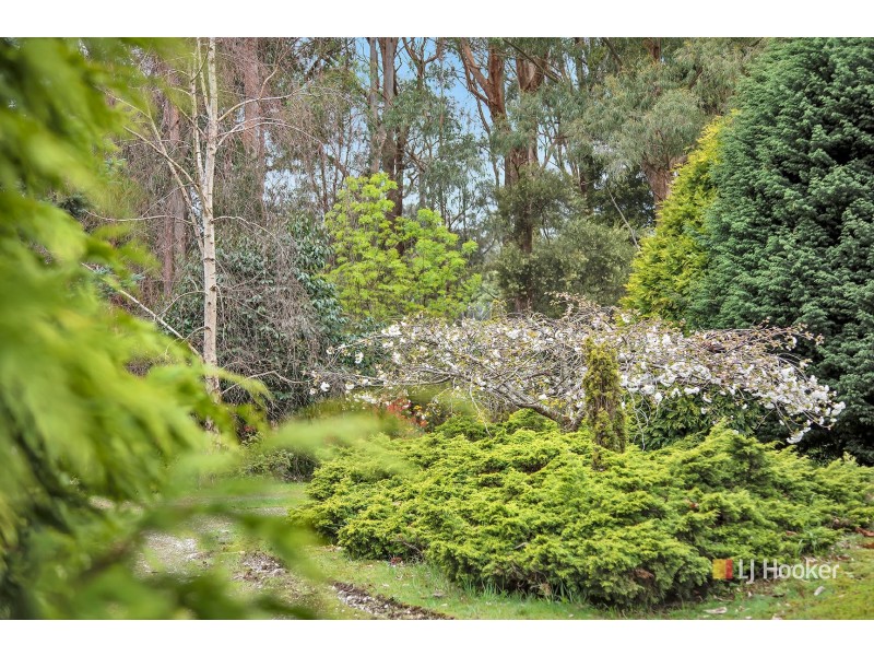 39 Fosters Road, Wynyard TAS 7325