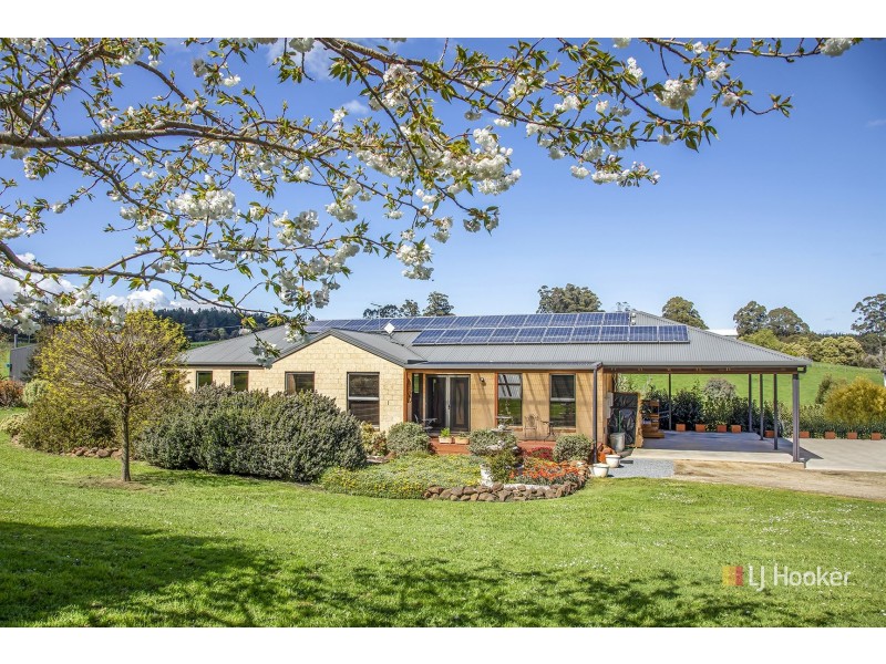 42 Lennah Drive, Wynyard TAS 7325