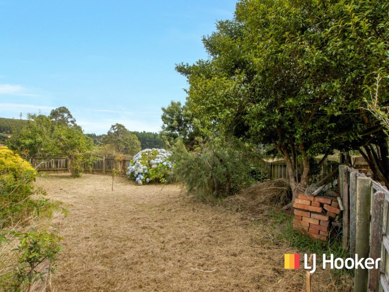 190 Lowries Road, Oldina TAS 7325