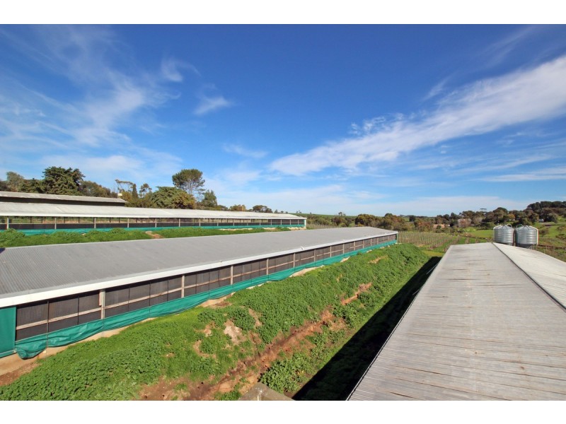 51 Branson Road, Tatachilla SA 5171