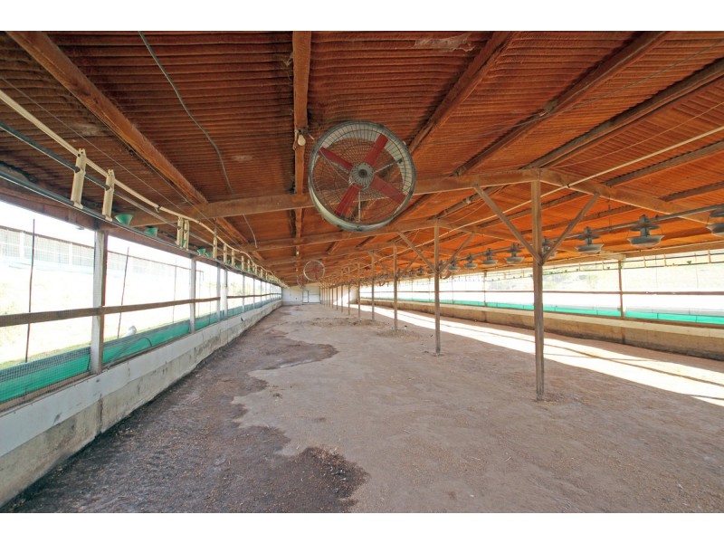 51 Branson Road, Tatachilla SA 5171