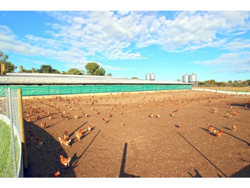 51 Branson Road, Tatachilla SA 5171