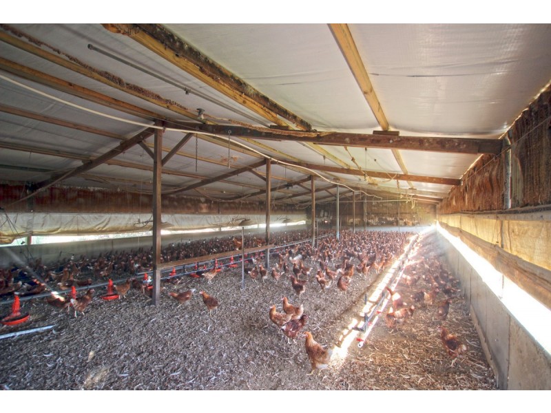 51 Branson Road, Tatachilla SA 5171