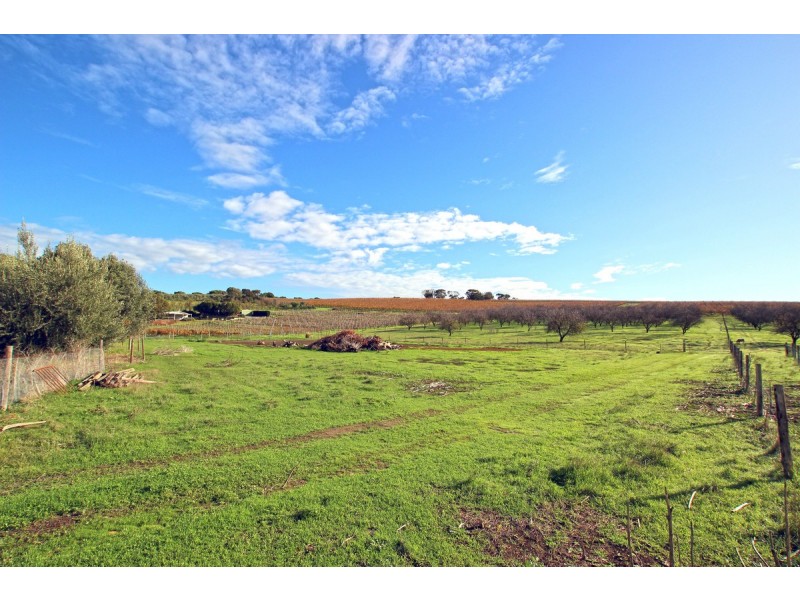 51 Branson Road, Tatachilla SA 5171