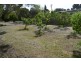 63 Forktree Road, Myponga SA 5202