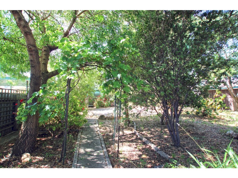 29 Stirling Crescent, Aldinga Beach SA 5173