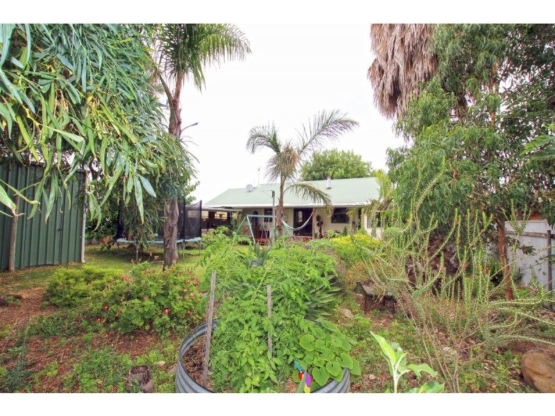 11 Walsh Street, Aldinga Beach SA 5173