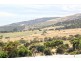 39 Napier Avenue, Sellicks Beach SA 5174