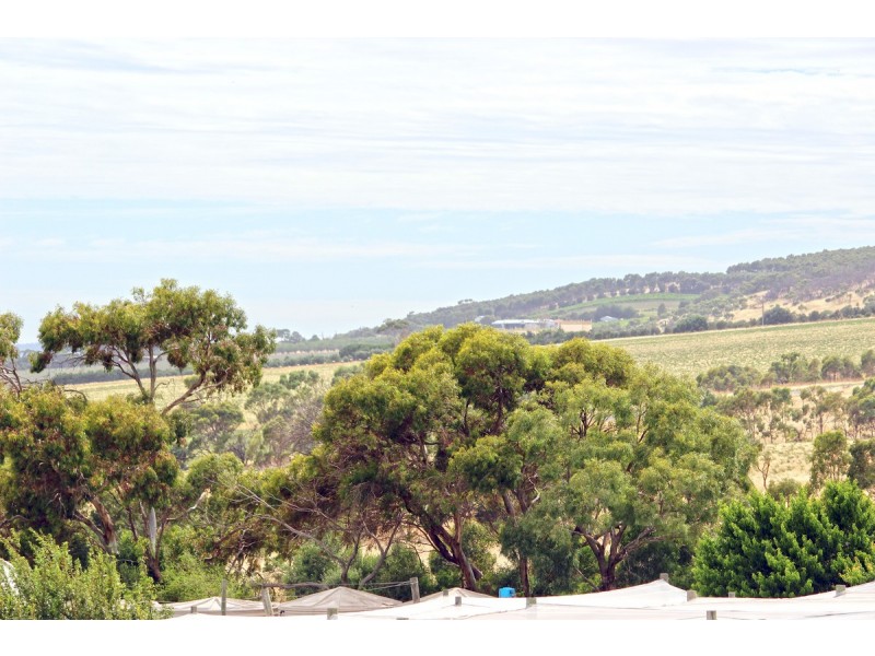 39 Napier Avenue, Sellicks Beach SA 5174