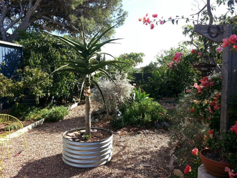 10 Wellington Avenue, Sellicks Beach SA 5174