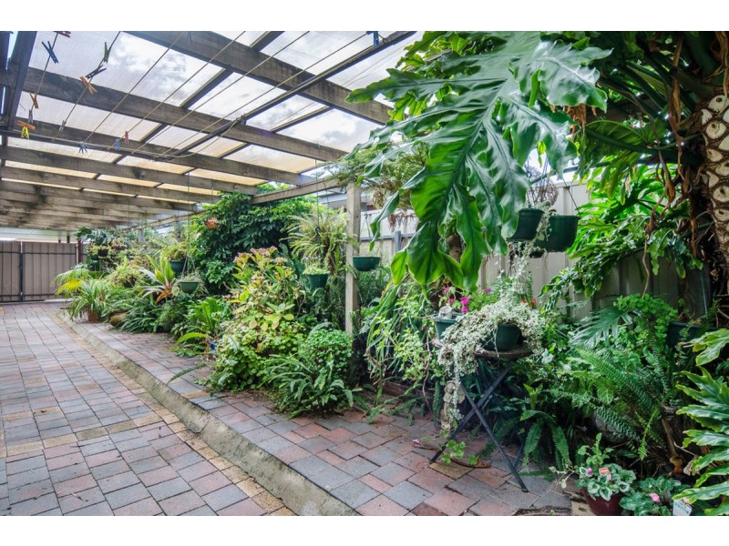 20 Verbena Court, Morphett Vale SA 5162