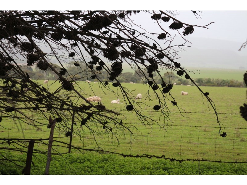 91 Sellicks Beach Road, Sellicks Beach SA 5174