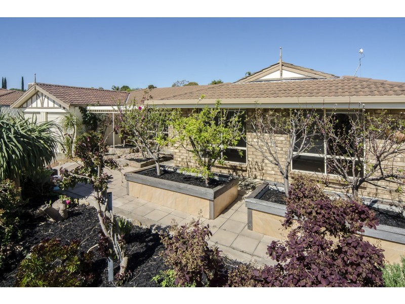 6 Osmanli Drive, Hallett Cove SA 5158
