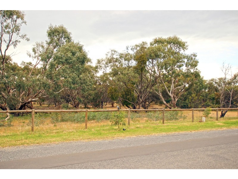 31 Dunstan Street, Aldinga Beach SA 5173