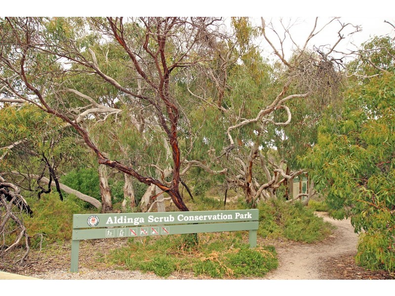 31 Dunstan Street, Aldinga Beach SA 5173