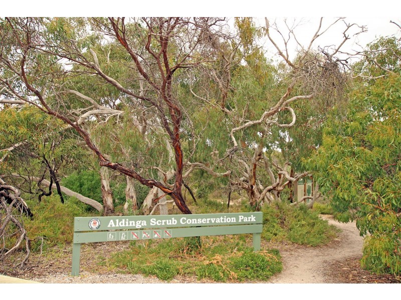 31 Dunstan Street, Aldinga Beach SA 5173