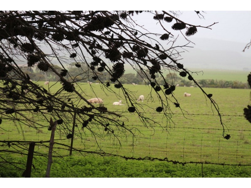 91 Sellicks Beach Road, Sellicks Beach SA 5174