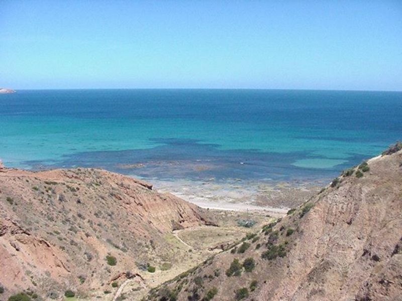 20 Hastings Avenue, Sellicks Beach SA 5174