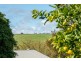 53 Port Road, Port Willunga SA 5173