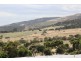 39 Napier Avenue, Sellicks Beach SA 5174