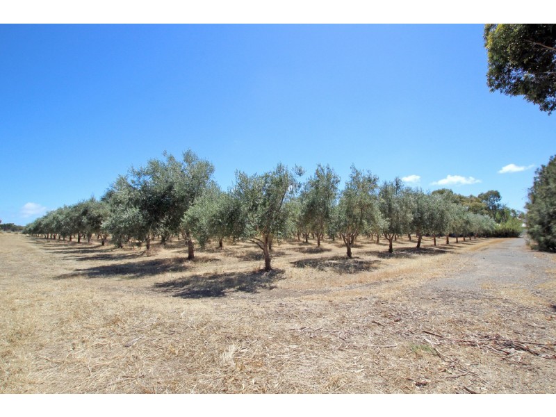 102 Norman Road, Aldinga Beach SA 5173