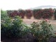 28 Wild Orchid Avenue, Aldinga Beach SA 5173