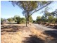 15 Carbenet Drive, Hackham SA 5163