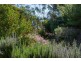 53 Port Road, Port Willunga SA 5173