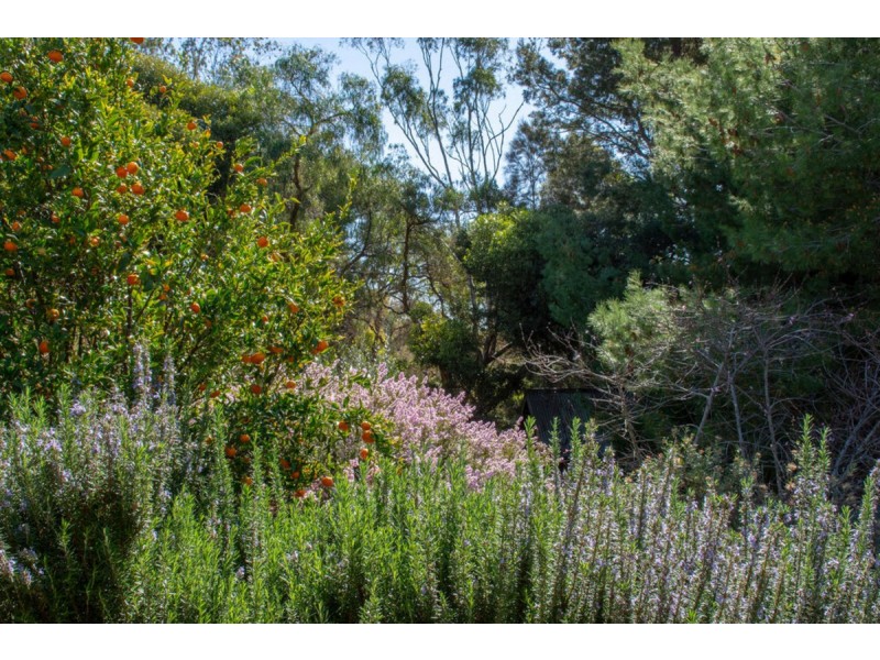 53 Port Road, Port Willunga SA 5173
